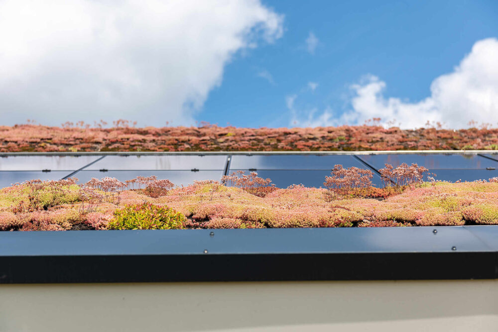 Verduurzaming particuliere woning door sedumdak en zonnepanelen