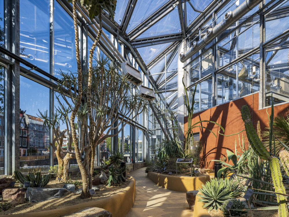 Renovatie klimatenkas Hortus Botanicus Amsterdam met verduurzaming en creatieve oplossingen. Woestijnplanten.