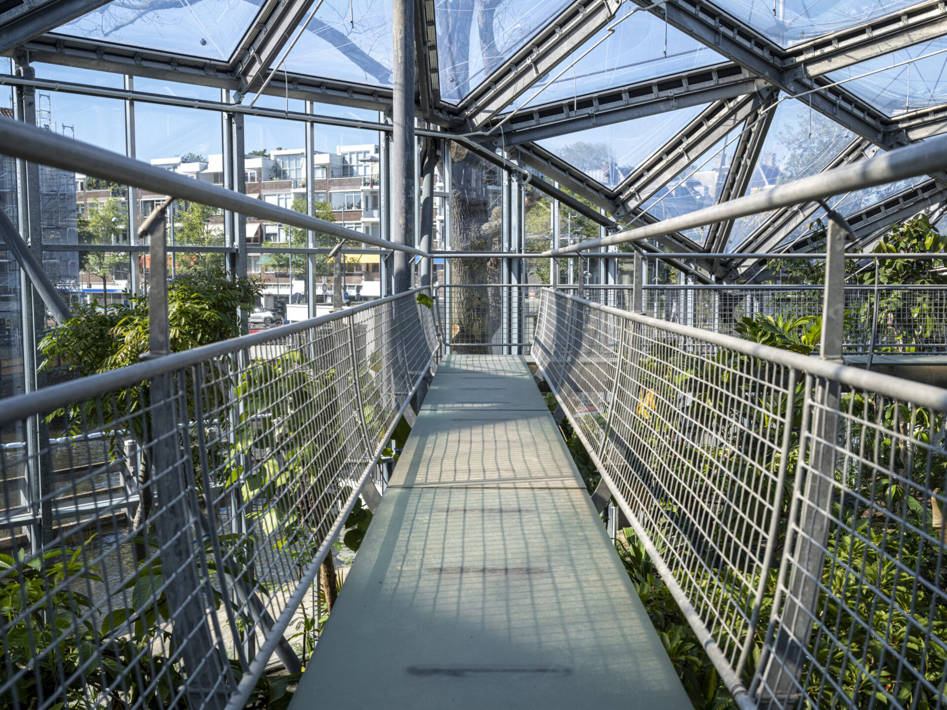 Renovatie klimatenkas Hortus Botanicus Amsterdam met verduurzaming en creatieve oplossingen. Hoge brug.