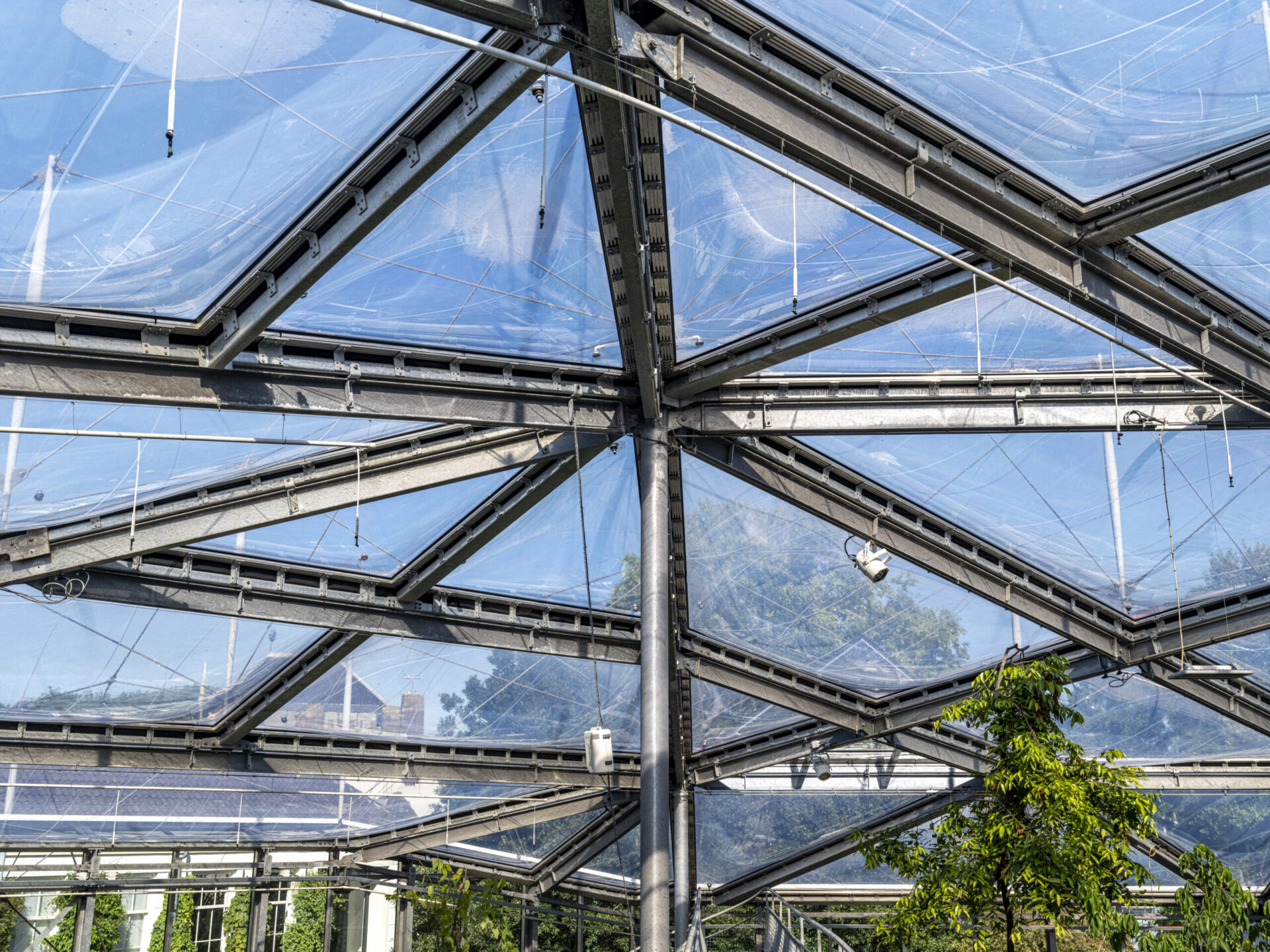 Renovatie klimatenkas Hortus Botanicus Amsterdam met verduurzaming en creatieve oplossingen. ETFE-kussens in het dak.