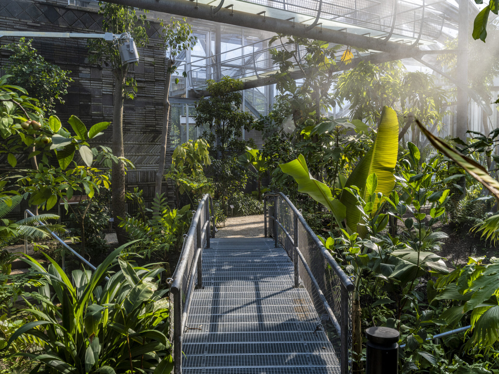Renovatie klimatenkas Hortus Botanicus Amsterdam met verduurzaming en creatieve oplossingen. Tropische planten.